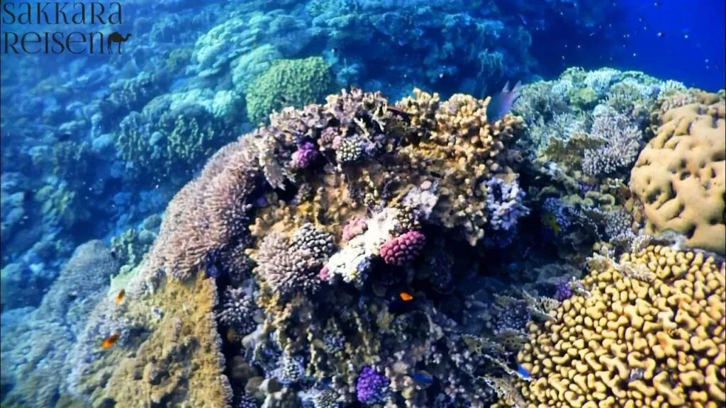 Marsa Alam