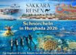 Schnorcheln in Hurghada 2026