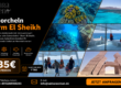 Schnorcheln Sharm El Sheikh