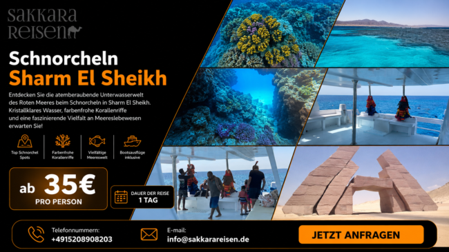 Schnorcheln Sharm El Sheikh