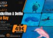 Schnorchel & Schildkröten & Delfin Soma Bay