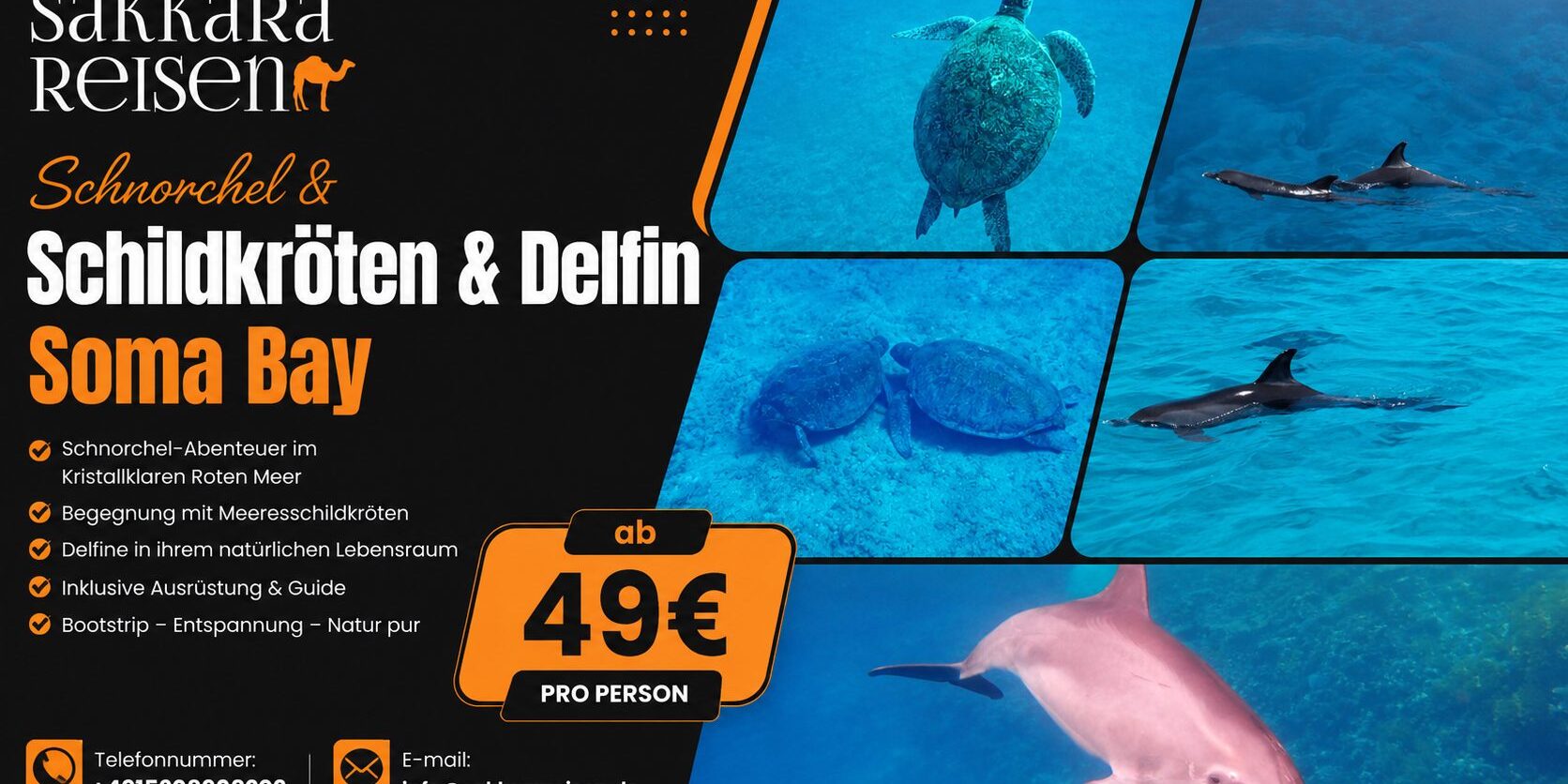 Schnorchel & Schildkröten & Delfin Soma Bay Schnorchel & Schildkröten & Delfin Soma Bay