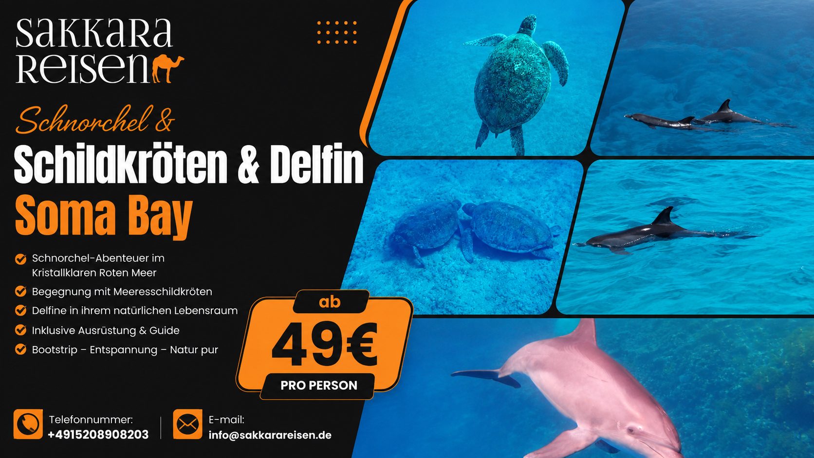 Schnorchel & Schildkröten & Delfin Soma Bay
