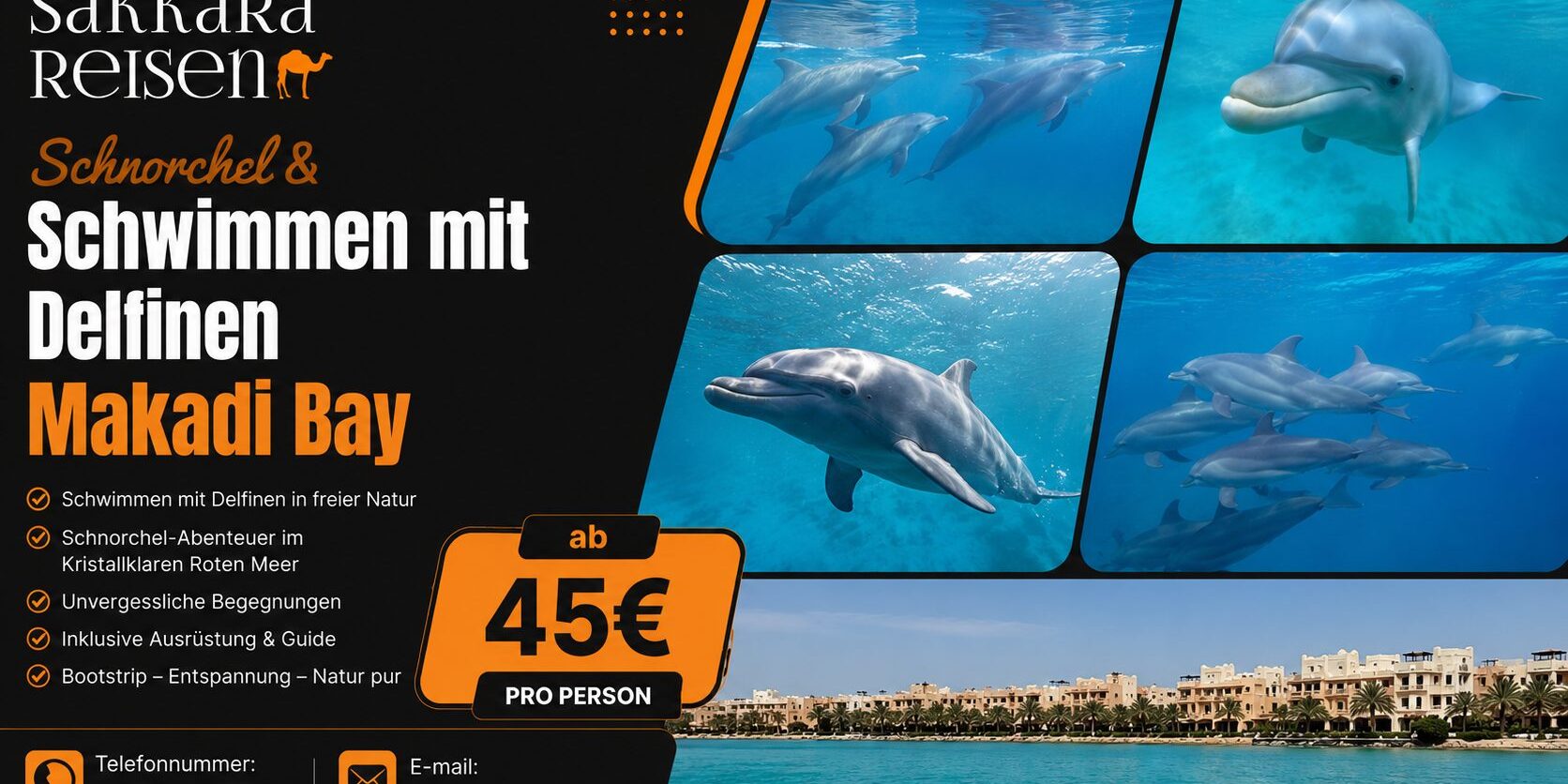 Schnorchel & Schwimmen mit Delfinen Makadi Bay Schnorchel & Schwimmen mit Delfinen Makadi Bay