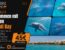 Schnorchel & Schwimmen mit Delfinen Makadi Bay