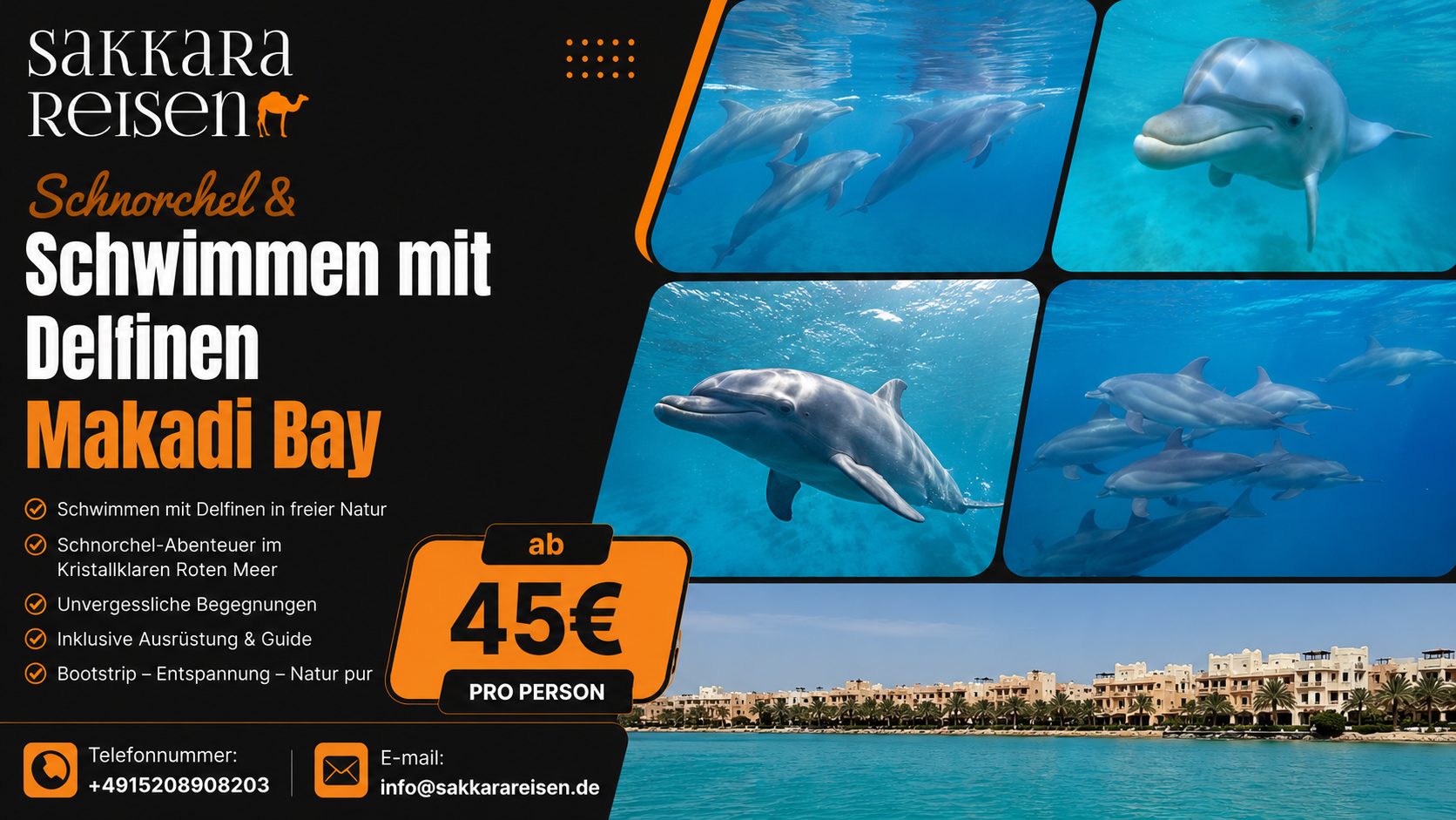 Schnorchel & Schwimmen mit Delfinen Makadi Bay