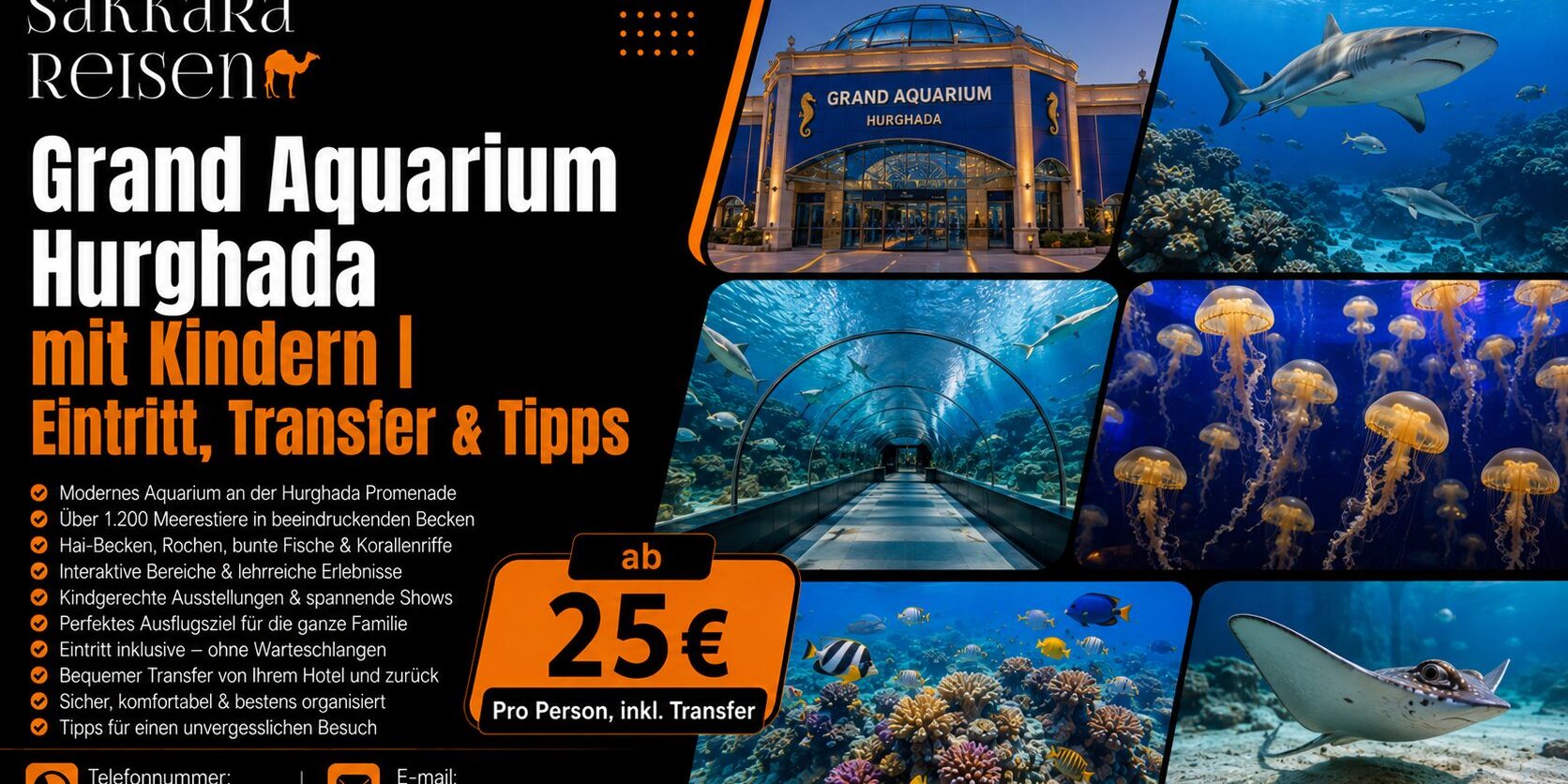 Grand Aquarium Hurghada mit Kindern | Eintritt, Transfer & Tipps