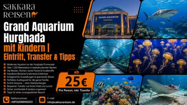 Grand Aquarium Hurghada mit Kindern | Eintritt, Transfer & Tipps