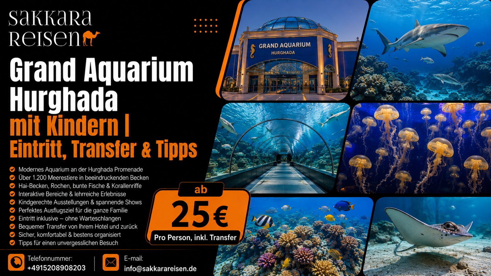 Grand Aquarium Hurghada mit Kindern | Eintritt, Transfer & Tipps