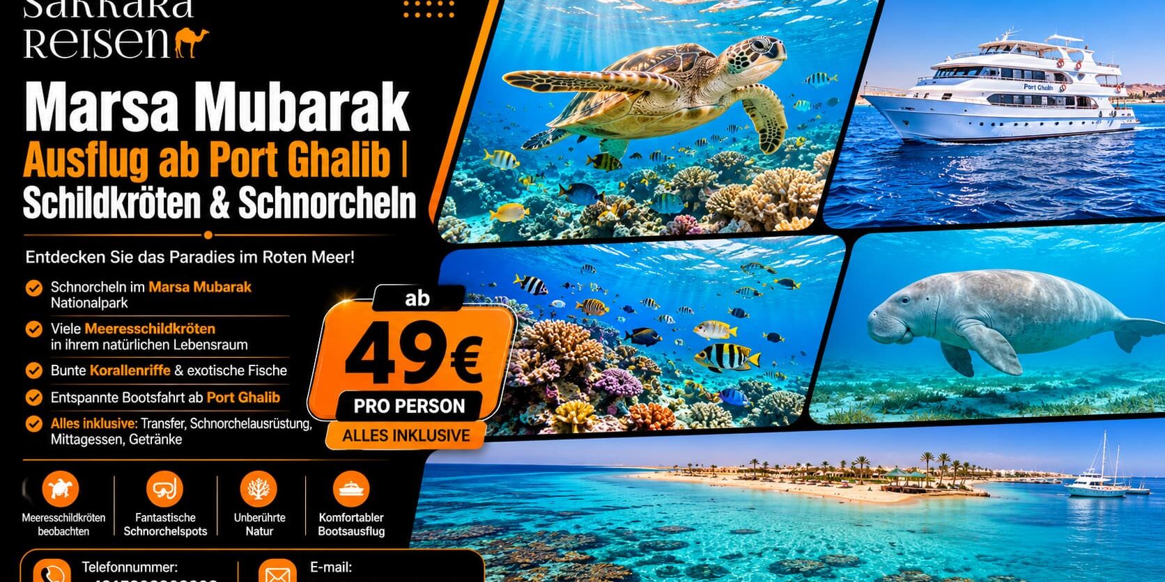 Marsa Mubarak Ausflug ab Port Ghalib | Schildkröten & Schnorcheln Marsa Mubarak Ausflug ab Port Ghalib | Schildkröten & Schnorcheln
