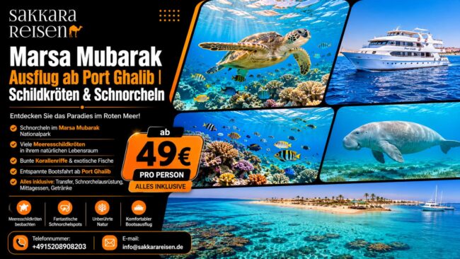 Marsa Mubarak Ausflug ab Port Ghalib | Schildkröten & Schnorcheln Marsa Mubarak Ausflug ab Port Ghalib | Schildkröten & Schnorcheln