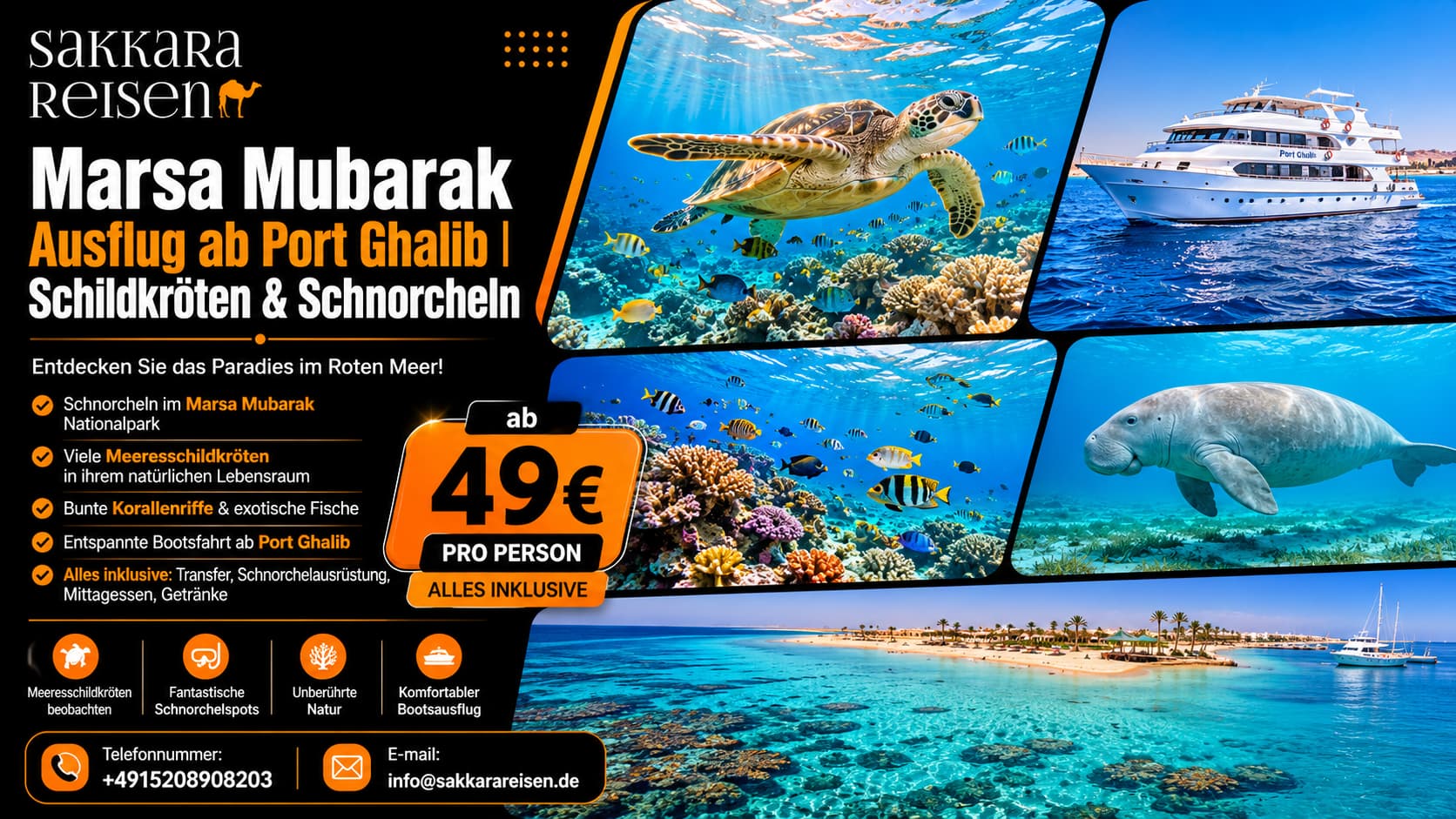 Marsa Mubarak Ausflug ab Port Ghalib | Schildkröten & Schnorcheln