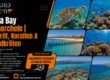 Soma Bay Schnorcheln | Hausriff, Korallen & Schildkröten