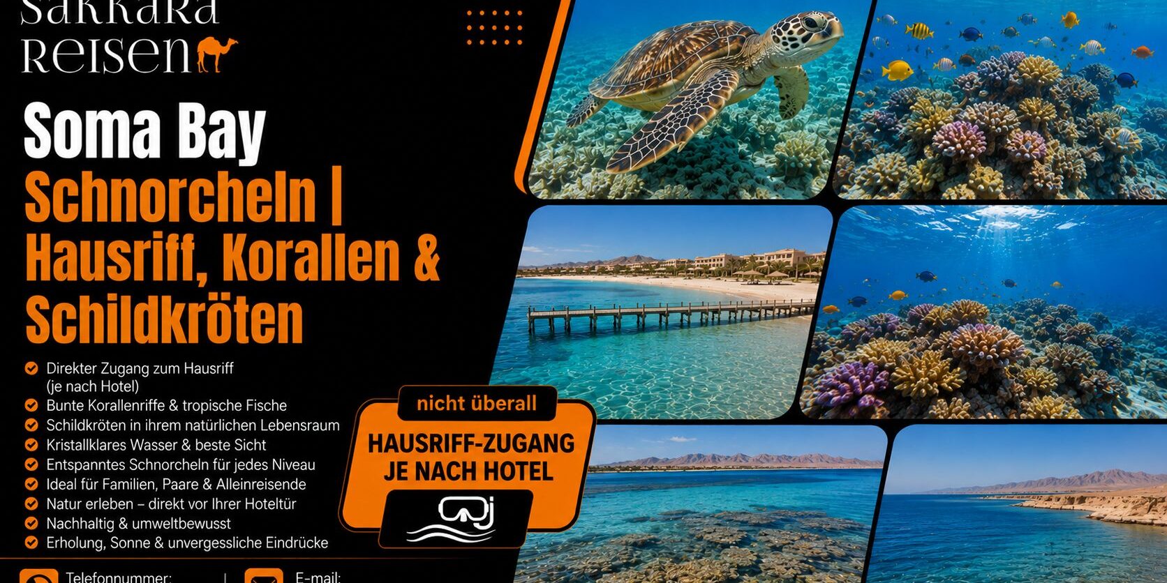 Soma Bay Schnorcheln | Hausriff, Korallen & Schildkröten