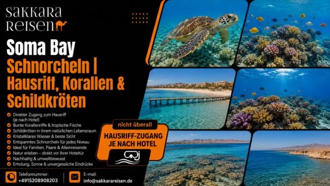 Soma Bay Schnorcheln | Hausriff, Korallen & Schildkröten