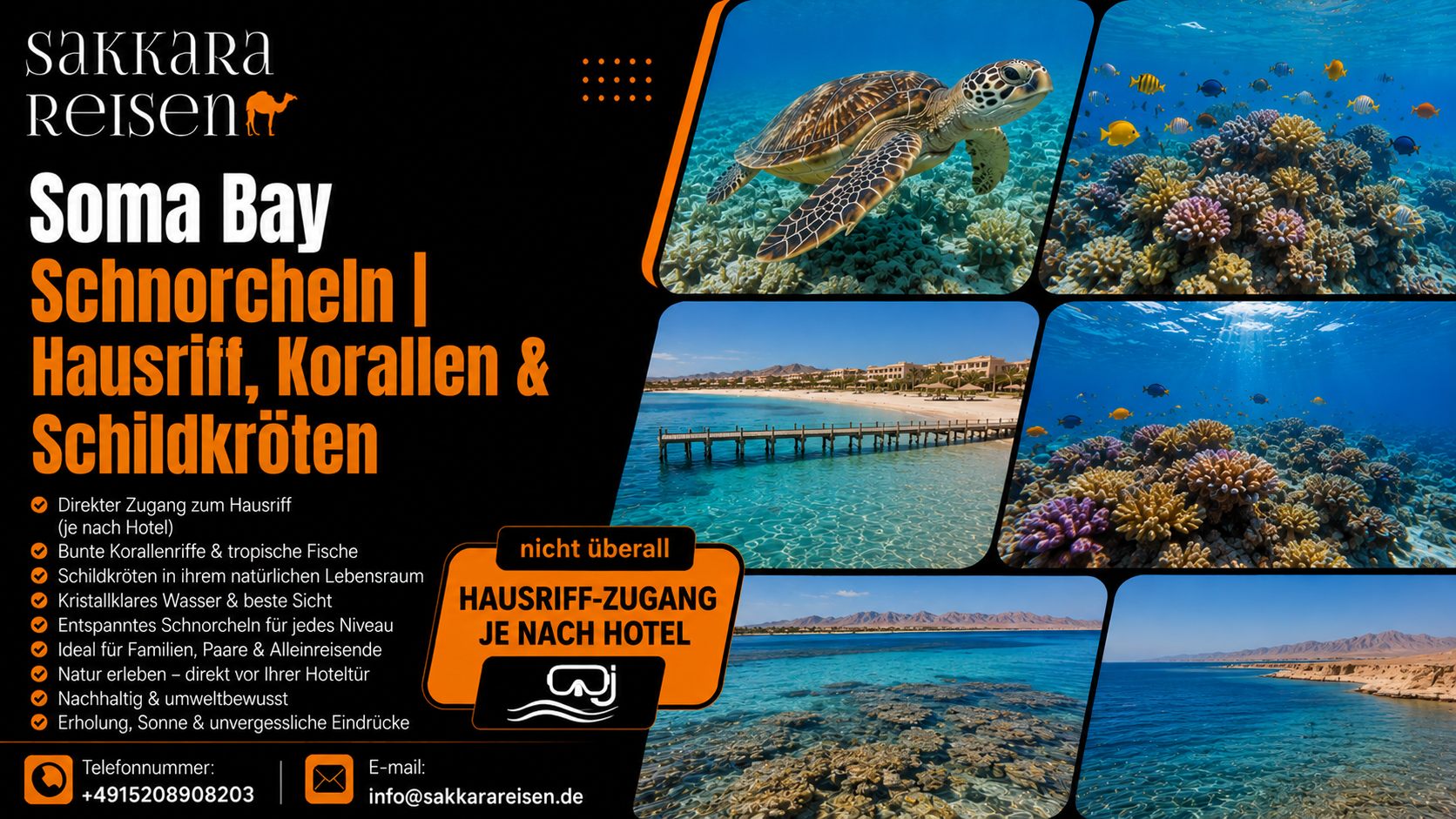 Soma Bay Schnorcheln | Hausriff, Korallen & Schildkröten