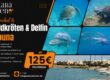 Schnorchel & Schildkröten & Delfin El Gouna