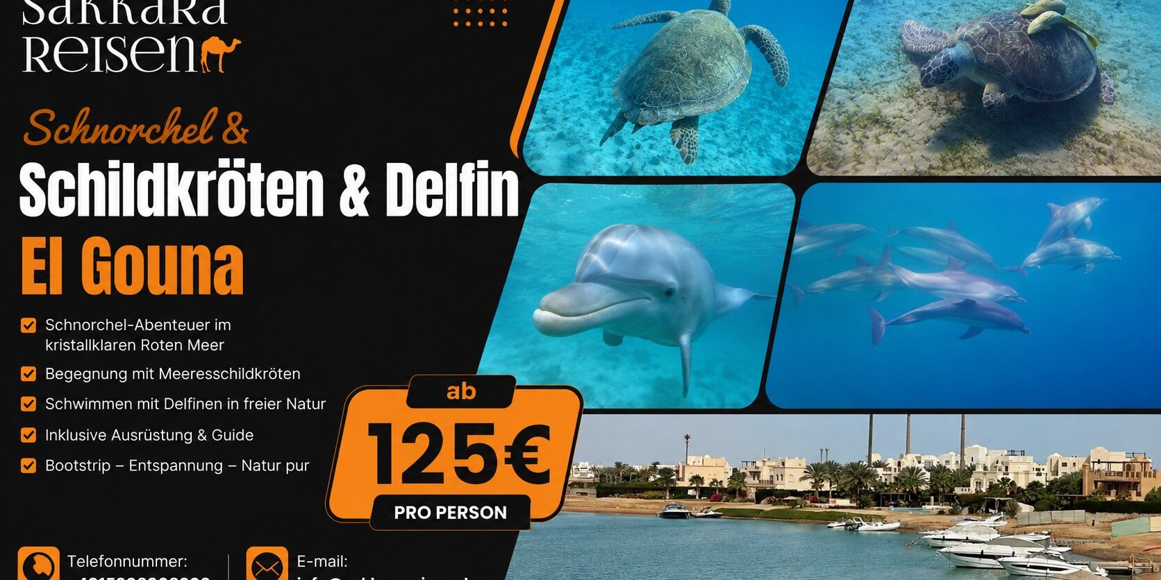 Schnorchel & Schildkröten & Delfin El Gouna Schnorchel & Schildkröten & Delfin El Gouna