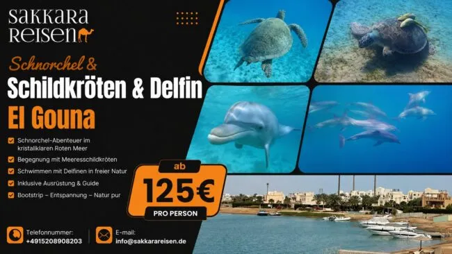 Schnorchel & Schildkröten & Delfin El Gouna