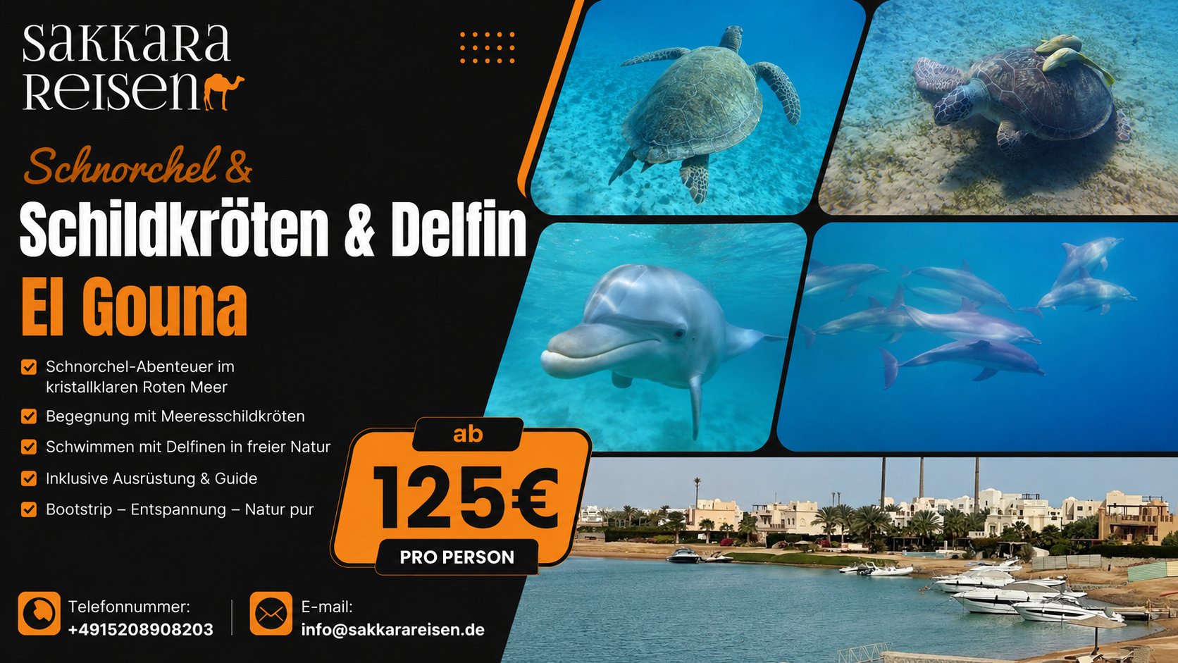 Schnorchel & Schildkröten & Delfin El Gouna