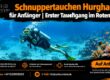 Schnuppertauchen Hurghada für Anfänger | Erster Tauchgang im Roten Meer