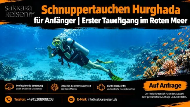 Schnuppertauchen Hurghada für Anfänger | Erster Tauchgang im Roten Meer Schnuppertauchen Hurghada für Anfänger | Erster Tauchgang im Roten Meer