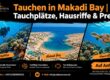 Tauchen in Makadi Bay | Tauchplätze, Hausriffe & Preise