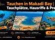 Tauchen in Makadi Bay | Tauchplätze, Hausriffe & Preise